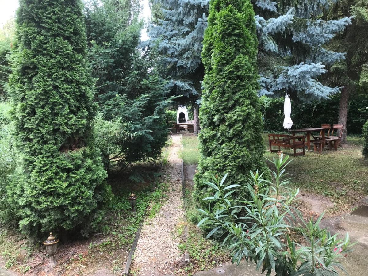 Platanus Vendeghaz Zamardi Bed & Breakfast Ngoại thất bức ảnh